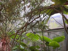 -金稼园·金平湖农家菜