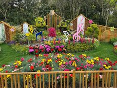 -上海共青森林公园