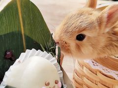 -大象厨房(重庆道店)