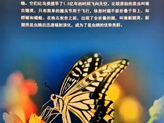-北京古代建筑博物馆