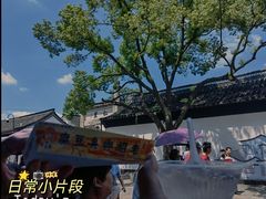 -绍兴鲁迅故里·沈园景区