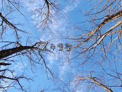 -牛背梁国家森林公园