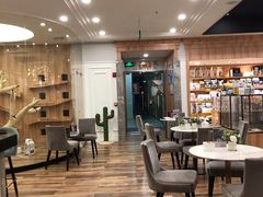 -袖虎·猫馆(体育西路店)