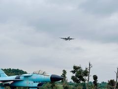-空港花田景区