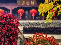 -汇龙潭