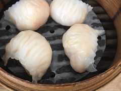 晶莹鲜虾饺-添好运点心专门店(百老汇店)