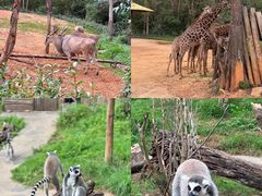 -云南野生动物园