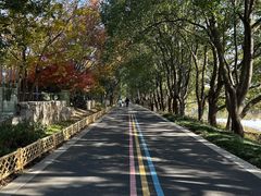 -同里国家湿地公园