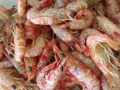 -龙溪海鲜酒家(溪涌店)