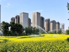 -长白岛森林公园