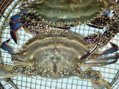 -海味当家·蒸锅海鲜(星海公园店)