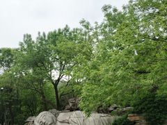 -千佛山风景名胜区
