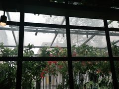 -湘邻呷铺·田园家宴(汉基广场店)