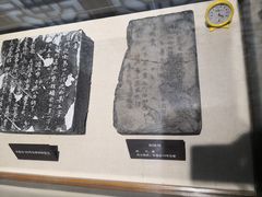 -隋唐大运河文化博物馆