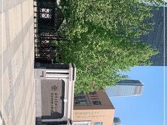 -清华大学附属小学商务中心区实验小学