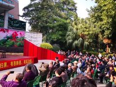 -厦门歌舞剧院