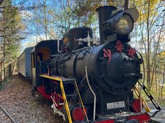 -五营红松林海景区