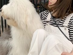 -TrueLove @ Neverland (Husky Cafe)