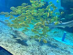 -泉城欧乐堡海洋极地世界