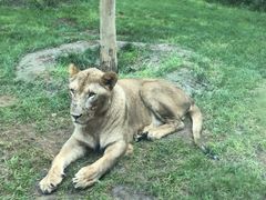 -北京野生动物园