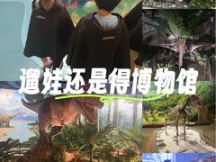 -陕西自然博物馆