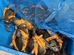 -杨记海鲜楼(三门黑金冠店)