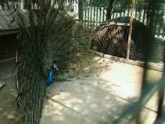 -意大利农场度假村