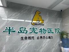 -半岛宠物医院24小时(白果林店)