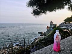 -小麦岛公园