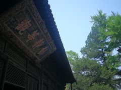 -大觉寺-停车场