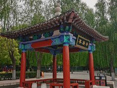 -莲花池公园