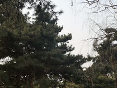 -北陵公园