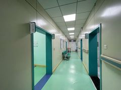 -北京观赏动物医院·24小时大型综合·猫专科·异宠专科