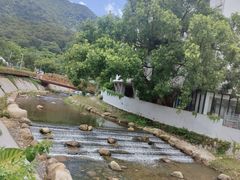 -梧桐山风景名胜区