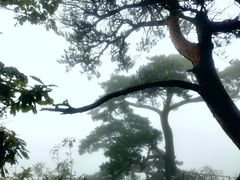 -大连天门山国家森林公园