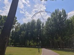 -哈尔滨文化公园