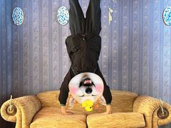 -金山农民画村-枫泾波兰倒置屋