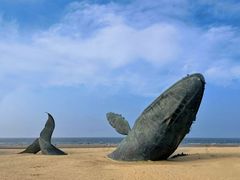 -烟台金沙滩海滨公园