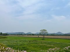-良渚古城遗址公园