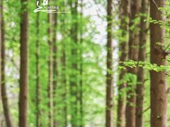 -桤木河湿地公园