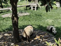 -西安秦岭野生动物园