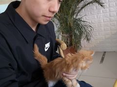 -平行世界·猫咖(首经贸店)