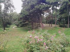 -元大都城垣遗址公园