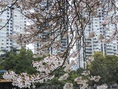 -红星桥(地铁站)