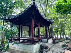 -秋霞圃
