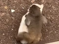 -昆明动物园