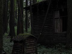 -武陵山森林公园