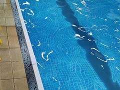 -嘻游纪亲子游泳中心(天佑城店)