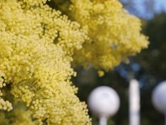 -厦门国家会计学院