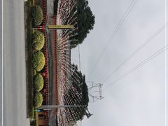 -揭东万竹园旅游景区